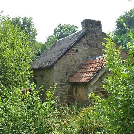 Qui Vivra Verra Bed & Breakfast Le Mesnil-Amey Exterior photo